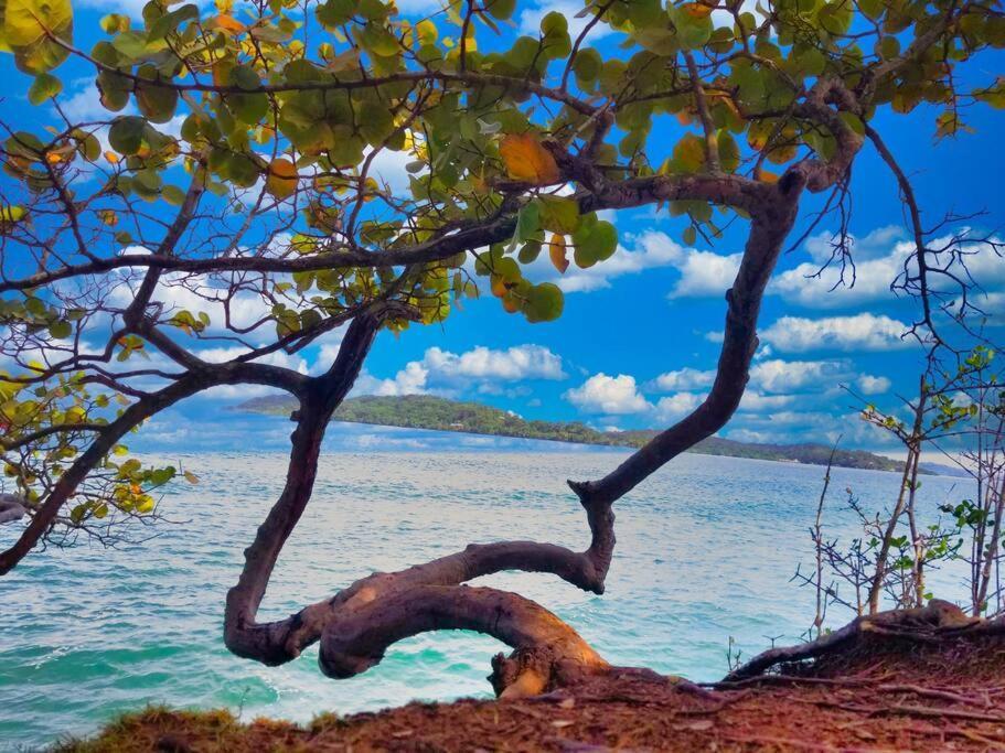 Poetry Garden Bocas Town Colon Island Villa Buitenkant foto