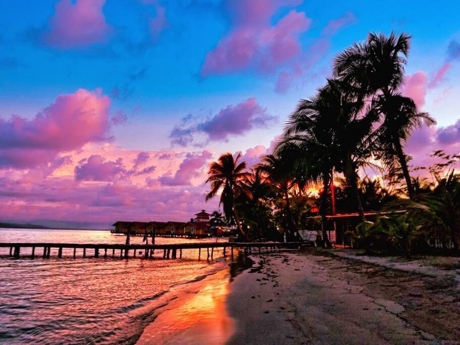 Poetry Garden Bocas Town Colon Island Villa Buitenkant foto