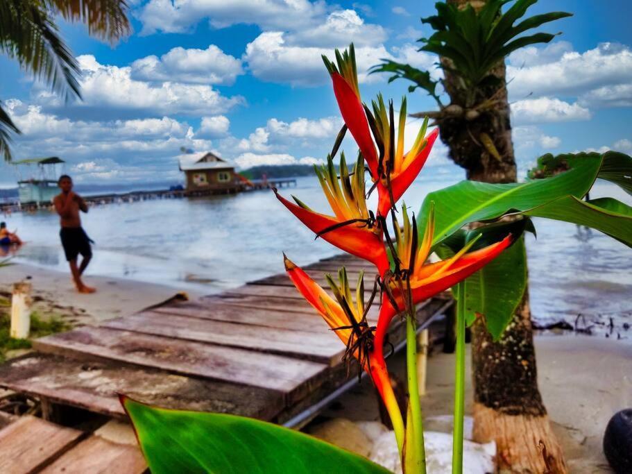 Poetry Garden Bocas Town Colon Island Villa Buitenkant foto